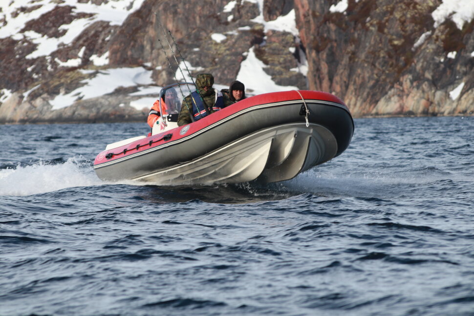 CAT Fortis 490